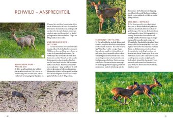 Die Altersansprache des Schalenwilds