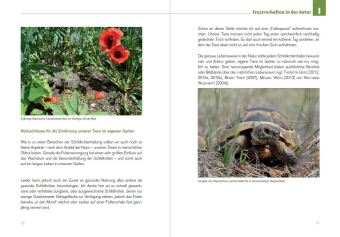 Der Schildkröten-Gärtner. Naturnahe Ernährung Europäischer Landschildkröten