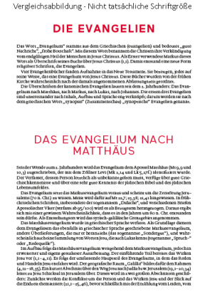 Die Bibel - Mit Sonderseiten für junge Menschen