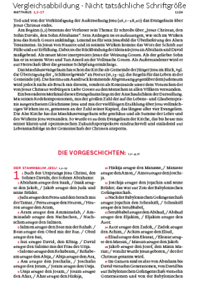 Die Bibel - Mit Sonderseiten für junge Menschen