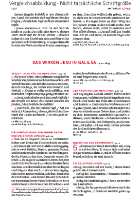 Die Bibel - Mit Sonderseiten für junge Menschen