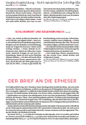Die Bibel - Mit Sonderseiten für junge Menschen