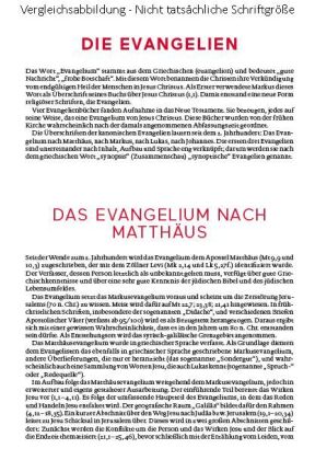 Die Bibel - Mit Sonderseiten für junge Menschen