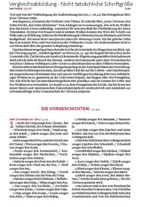 Die Bibel - Mit Sonderseiten für junge Menschen