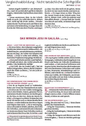 Die Bibel - Mit Sonderseiten für junge Menschen