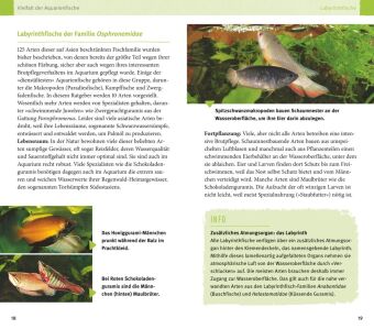 Aquarienfische von A bis Z