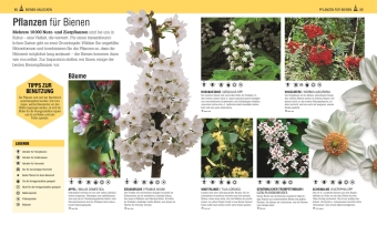 Das Bienen Buch
