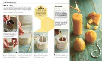 Das Bienen Buch