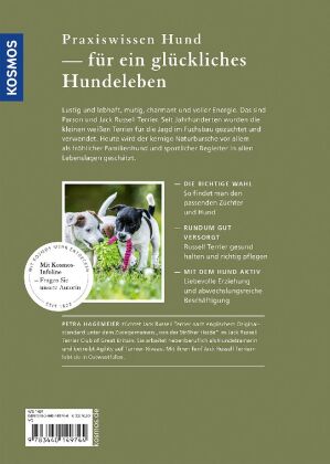 Parson und Jack Russel Terrier