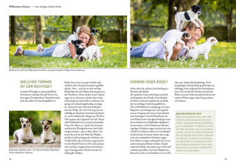 Parson und Jack Russel Terrier