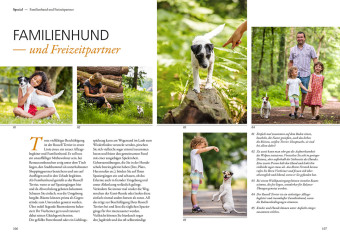 Parson und Jack Russel Terrier