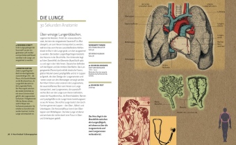 Anatomie in 30 Sekunden