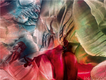 CALVENDO Puzzle Unterwasserwelten I - Encaustic | 1000 Teile Lege-Größe 64x48cm Foto-Puzzle für glückliche Stunden