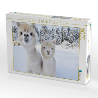 CALVENDO Puzzle Alpakas Schneegestöber | 1000 Teile Lege-Größe 64x48cm Foto-Puzzle für glückliche Stunden