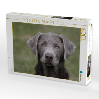 CALVENDO Puzzle Labrador-Welpe | 1000 Teile Lege-Größe 64x48cm Foto-Puzzle für glückliche Stunden