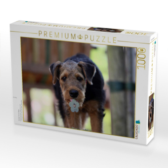 CALVENDO Puzzle Airedale Terrier Welpe | 1000 Teile Lege-Größe 64x48cm Foto-Puzzle für glückliche Stunden