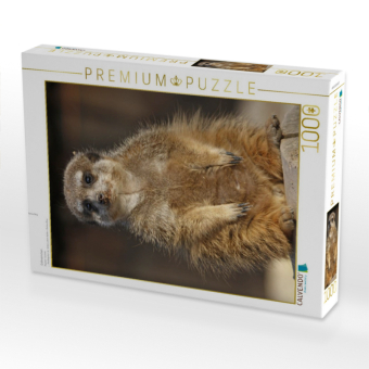 CALVENDO Puzzle Erdmännchen | 1000 Teile Lege-Größe 64x48cm Foto-Puzzle für glückliche Stunden