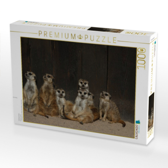 CALVENDO Puzzle Erdmännchen | 1000 Teile Lege-Größe 64x48cm Foto-Puzzle für glückliche Stunden