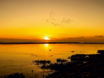 Sonnenuntergang, 1000 Teile