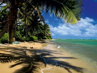 Ein Motiv aus dem Kalender Hawaii Beaches - Die schönsten Strände im Pazifik (Puzzle)