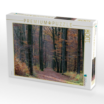 CALVENDO Puzzle Herbstwald | 1000 Teile Lege-Größe 64x48cm Foto-Puzzle für glückliche Stunden