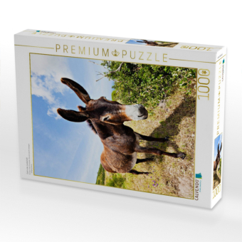 CALVENDO Puzzle Esel in der Landschaft | 1000 Teile Lege-Größe 64x48cm Foto-Puzzle für glückliche Stunden