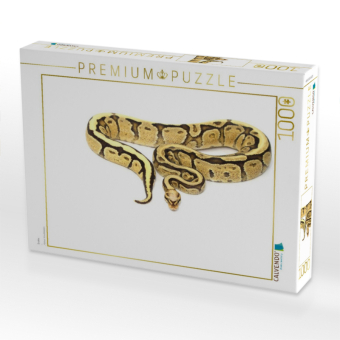 CALVENDO Puzzle Snake | 1000 Teile Lege-Größe 64x48cm Foto-Puzzle für glückliche Stunden