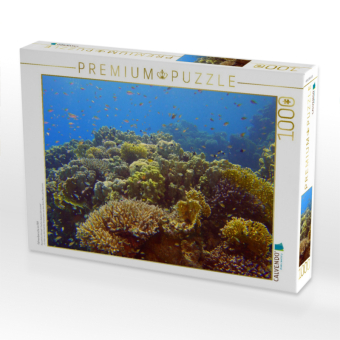CALVENDO Puzzle Fahnenbarsche im Riff | 1000 Teile Lege-Größe 64x48cm Foto-Puzzle für glückliche Stunden