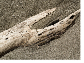 CALVENDO Puzzle Whale's Tale | 1000 Teile Lege-Größe 64x48cm Foto-Puzzle für glückliche Stunden
