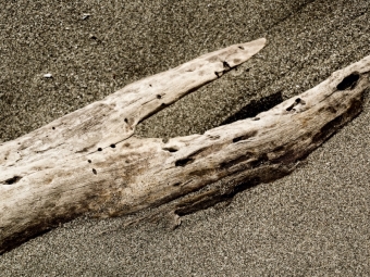 CALVENDO Puzzle Whale's Tale | 1000 Teile Lege-Größe 64x48cm Foto-Puzzle für glückliche Stunden
