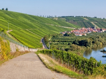 Fränkische Toskana mit Blick auf die berühmte Weinlage Escherndorfer Lump (Puzzle)