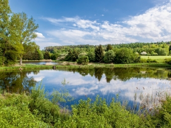 Karpfenteich (Puzzle)