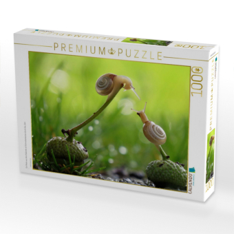 CALVENDO Puzzle Ein Motiv aus dem Kalender at Schneckentempo durch das Jahr | 1000 Teile Lege-Größe 64x48cm Foto-Puzzle für glückliche Stunden