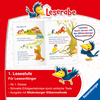 Leserabe mit Mildenberger Silbenmethode - Das Rätsel der Drachenhöhle
