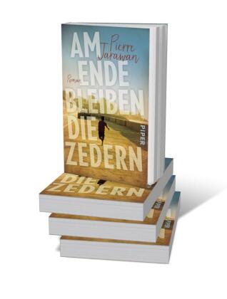 Am Ende bleiben die Zedern