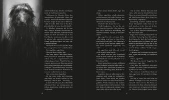 Harry Potter und der Gefangene von Askaban (Schmuckausgabe Harry Potter 3)