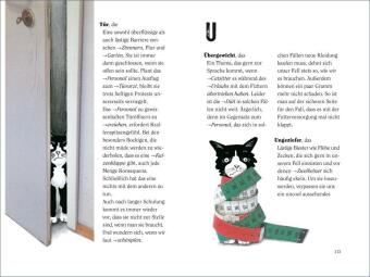 Wie wir Katzen die Welt sehen
