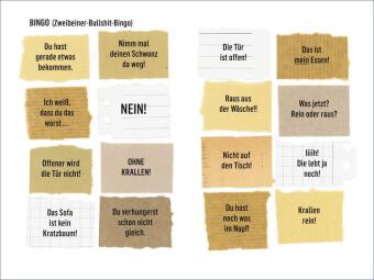 Wie wir Katzen die Welt sehen