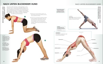 Die Anatomie des gerätelosen Workouts