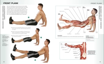 Die Anatomie des gerätelosen Workouts