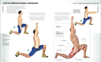 Die Anatomie des gerätelosen Workouts