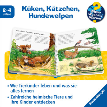 Wieso? Weshalb? Warum? junior, Band 15 - Unsere Tierkinder