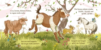Hallo, kleines Pony