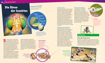 WAS IST WAS Band 30 Insekten