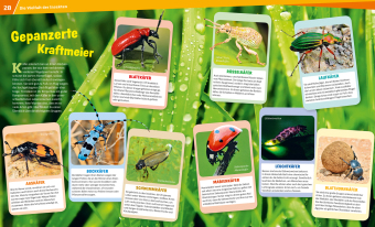 WAS IST WAS Band 30 Insekten