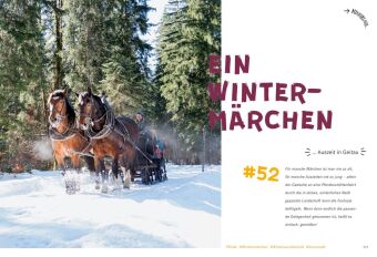 52 kleine & große Eskapaden in und um München