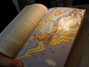 Die Bibel mit Bildern zu Wundern, Einheitsübersetzung
