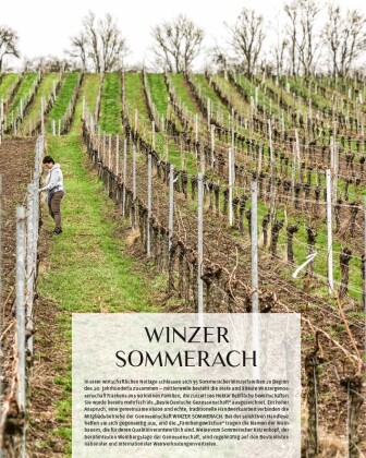Die Weinmacher