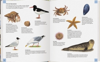Wo leben die Tiere unserer Welt?