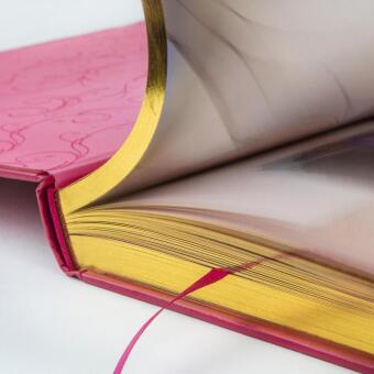 Disney Das große goldene Buch der Prinzessinnen